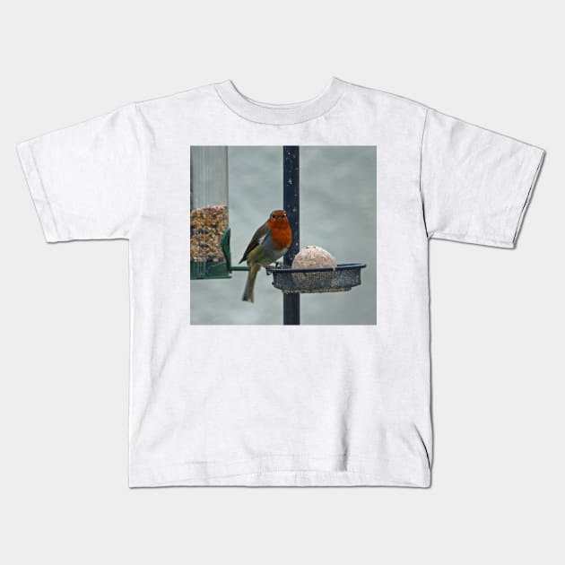 Fatball & Robin, February 2021 Kids T-Shirt by RedHillDigital